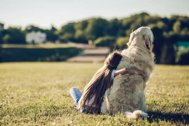 A Guide to Choosing the Right Breed for Your Family