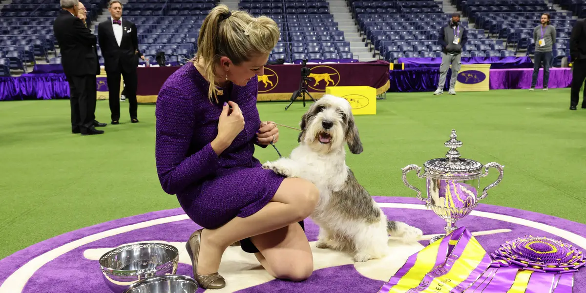 Westminster Dog Show 2023