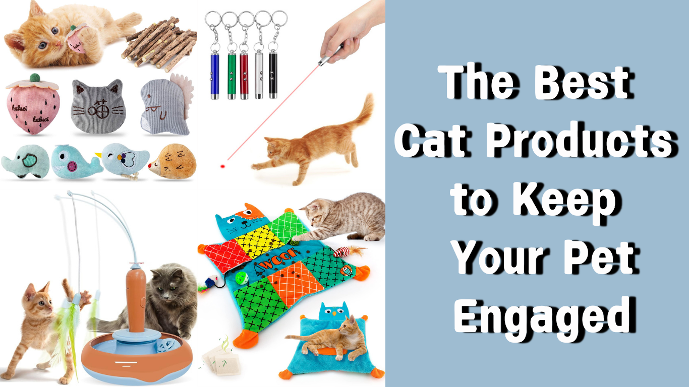 The Best Cat Products to Keep Your Pet Engaged