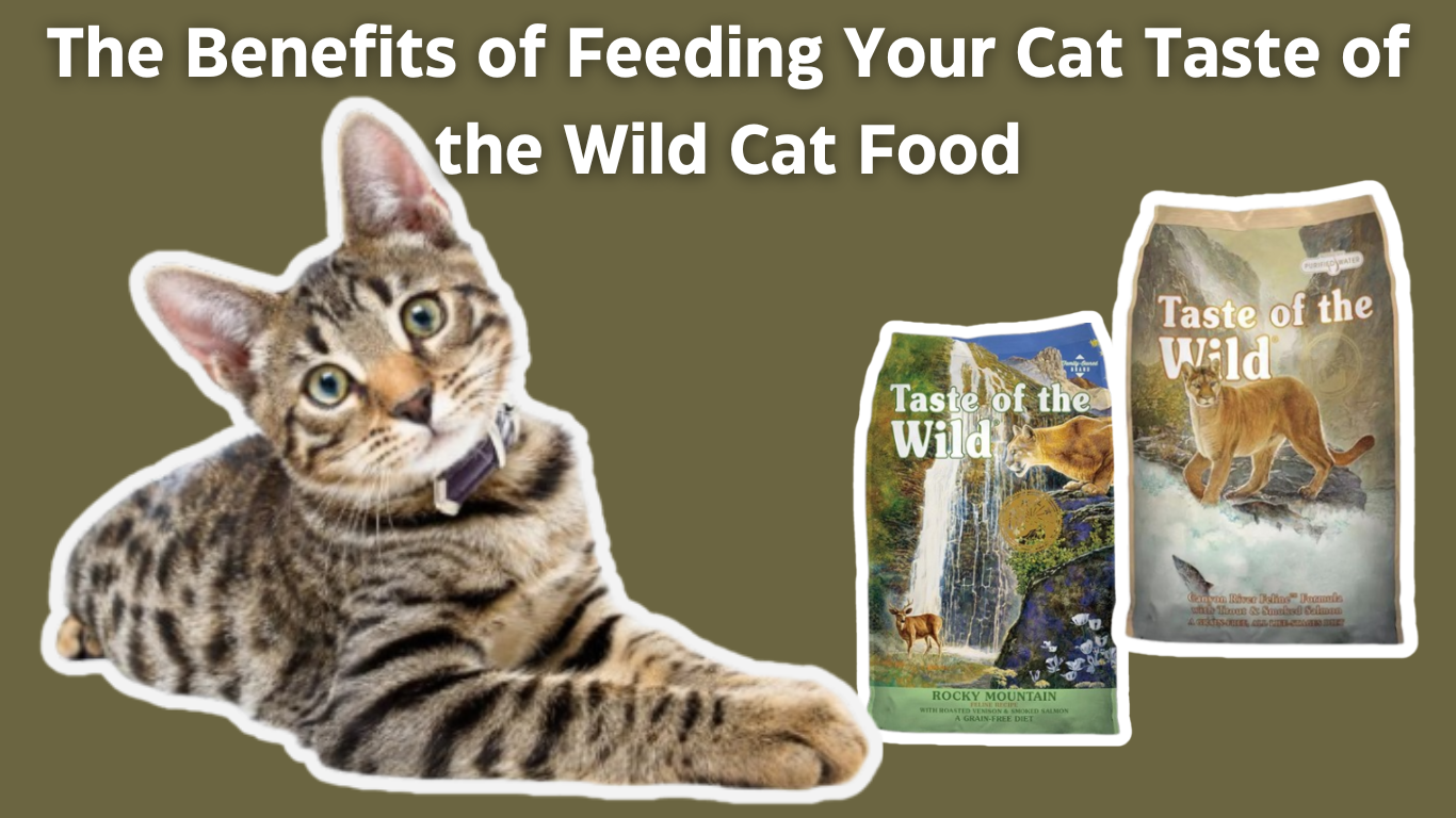 The Benefits of Feeding Your Cat Taste of the Wild Cat Food