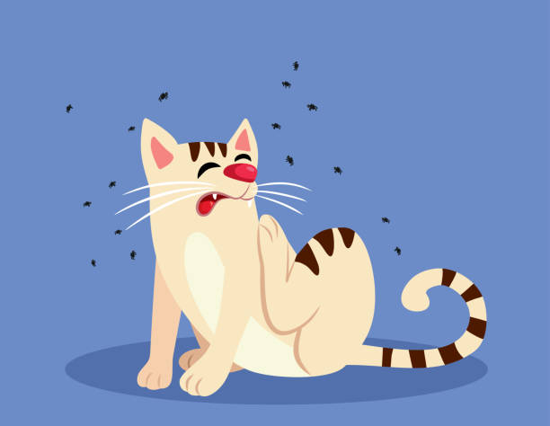 How to Effectively Treat and Prevent Lice Infestations in Cats