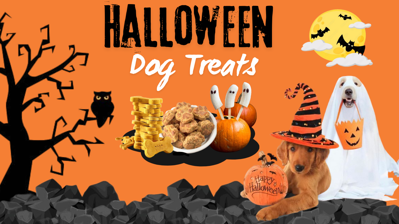 Spooktacular Halloween Dog Treats: 5 Fun & Easy Ideas to Buy or DIY