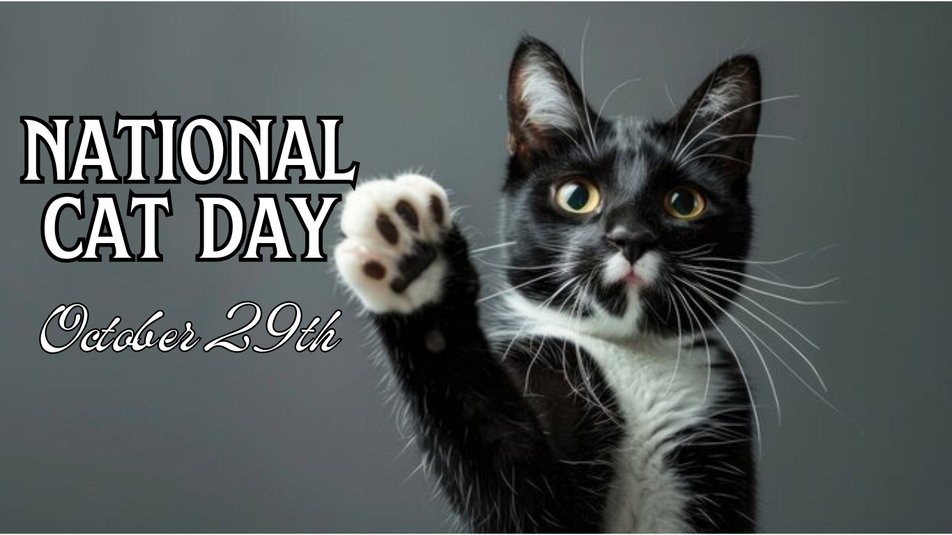 National Cat Day: Celebrating Feline Friends Around the World