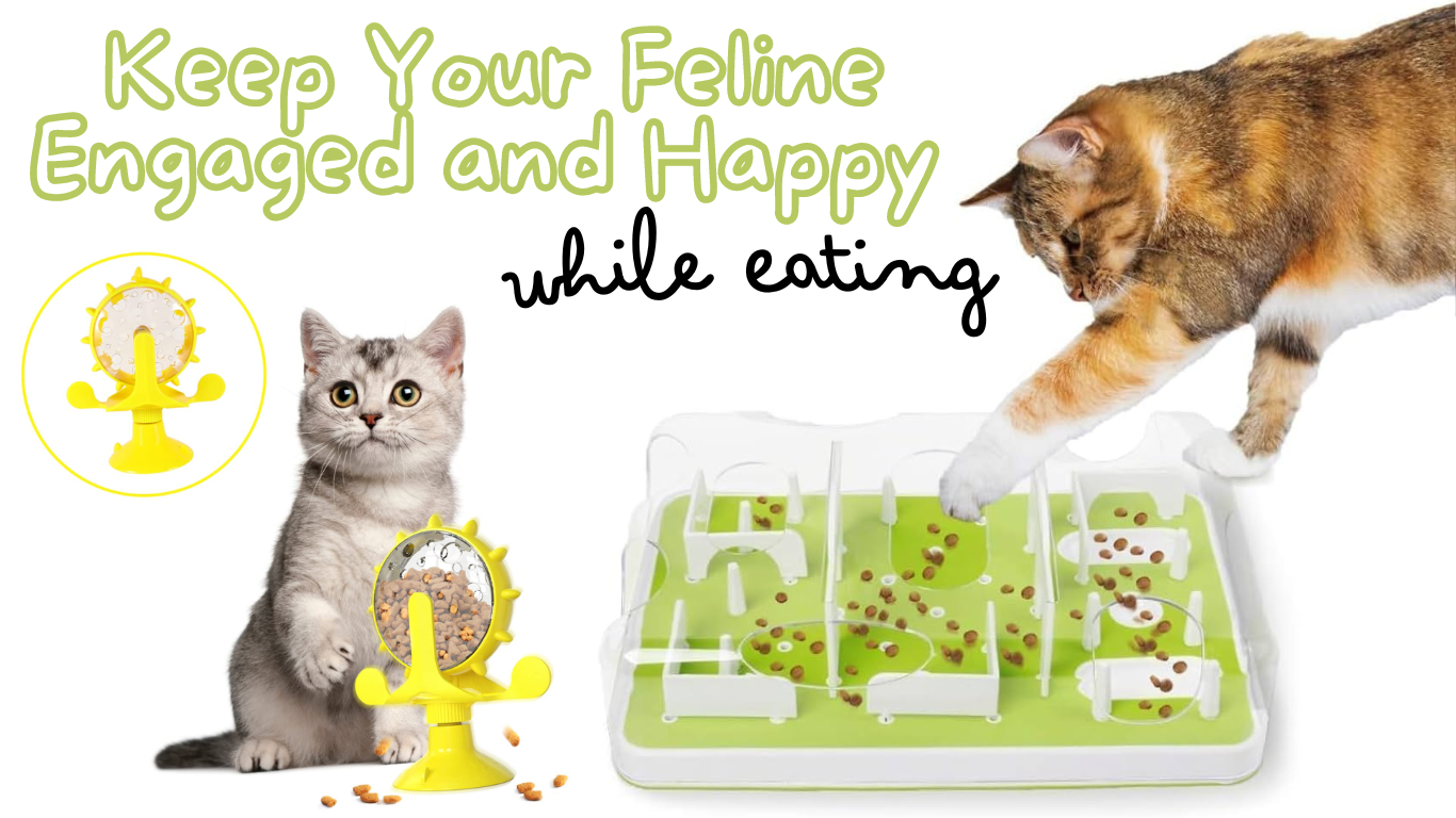 Food Enrichment for Cats: Keeping Your Feline Engaged and Happy