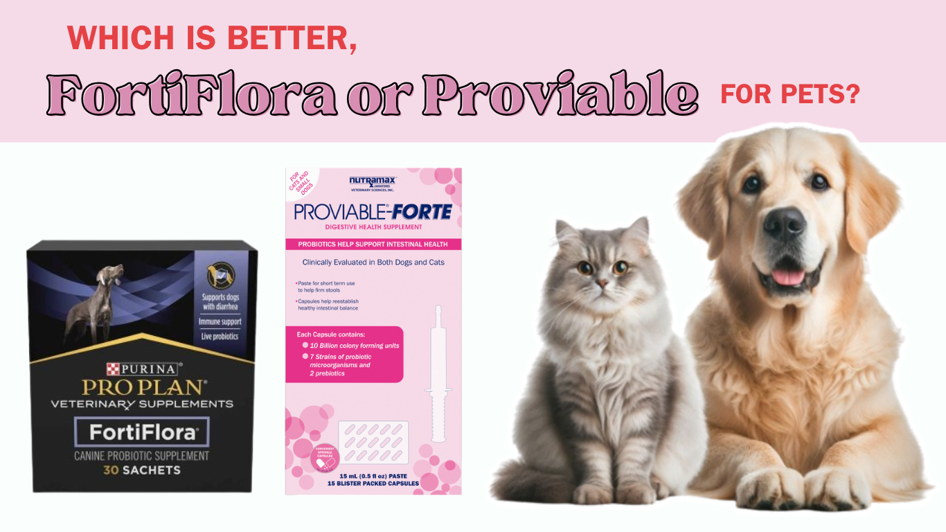 FortiFlora and Proviable: A Comparative Look at Pet Probiotic