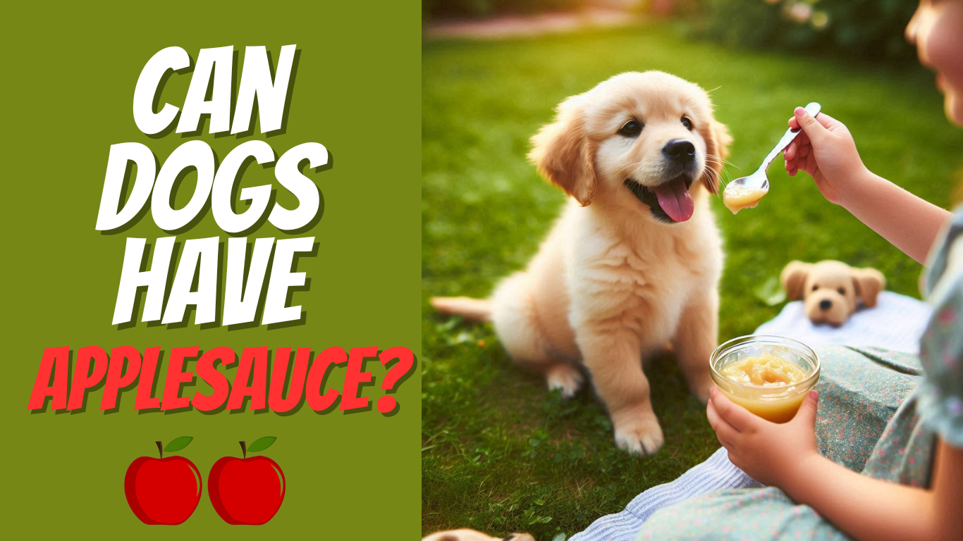 Can dogs have applesauce?