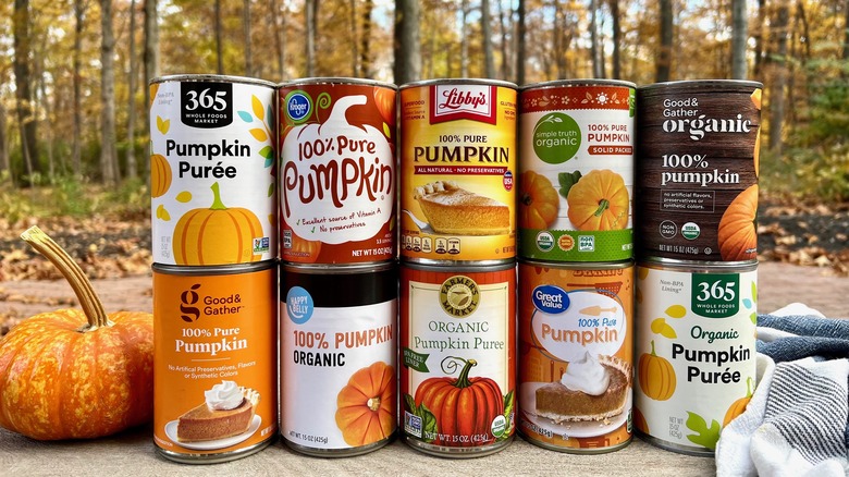 Is Libby’s canned pumpkin good for dogs?