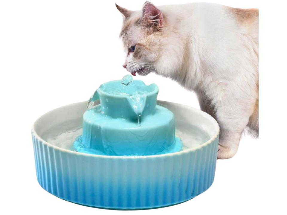 Best Water Fountain for Your Cat