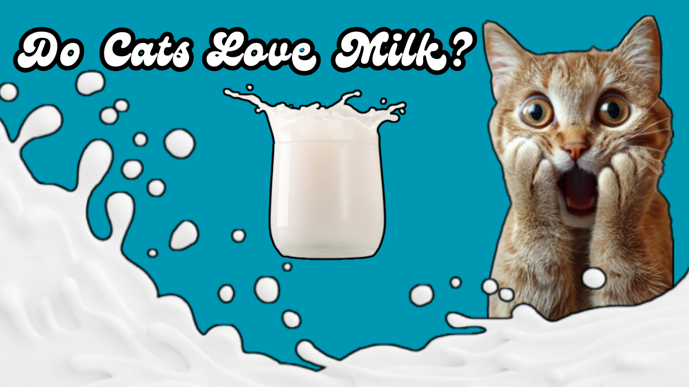 Do Cats Love Milk? The Shocking Truth About Cow’s Milk Will Surprise You!