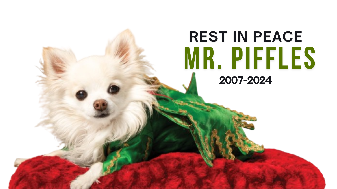 Heartbreaking Goodbye: The End of Mr. Piffles’ Legendary Las Vegas Magic Act!