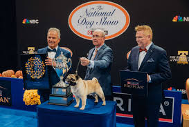 You Won’t Believe Who Took Home the Crown at the 2024 National Dog Show!