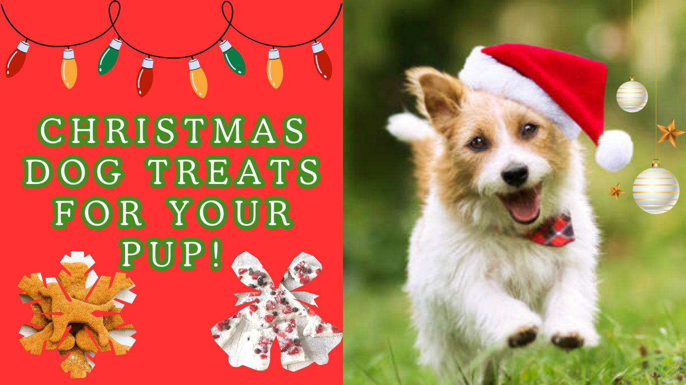 5 Irresistible Christmas Dog Treats Your Pup Will Beg For!