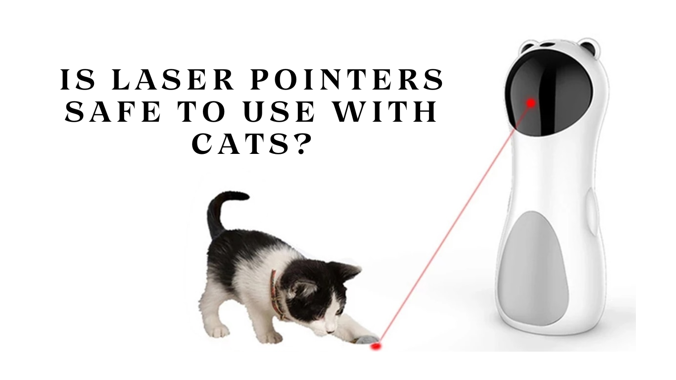 Is Laser Pointers Safe to Use with Cats?