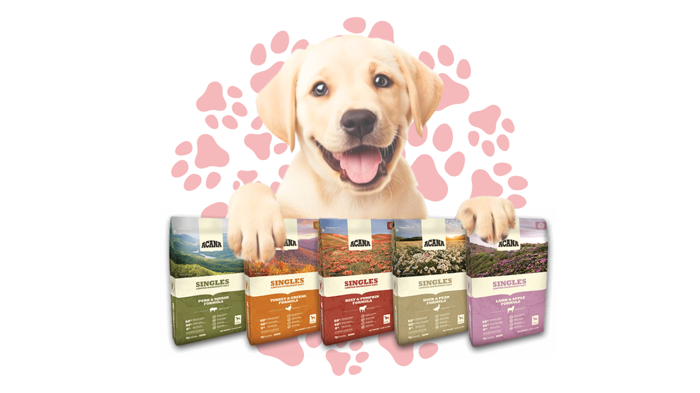 Acana Dog Food: A Premium Choice for Your Furry Friend